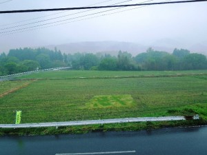 南相馬の田んぼ