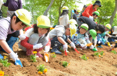 「スマイルいわてin宮古市田老 花を植えよう！イベント」開催しました！！